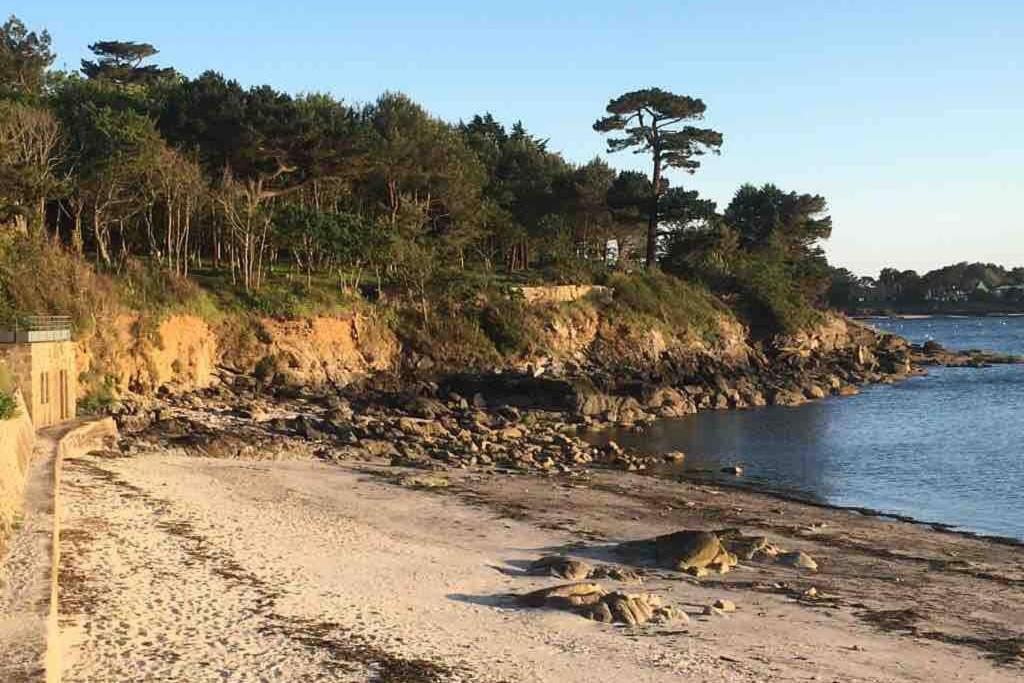 L'Olivier Du Cabellou, A 900 M Des Plages كونكارنو المظهر الخارجي الصورة